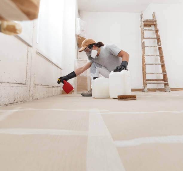 Best Air Quality Testing for Mold Spores  in Belgrade, MT