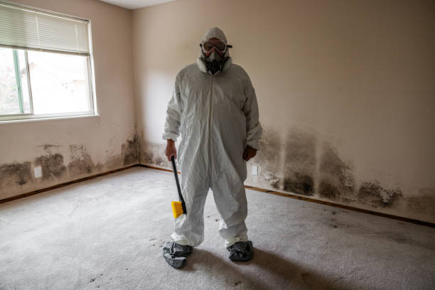 Best HVAC Mold Inspection and Cleaning  in Belgrade, MT